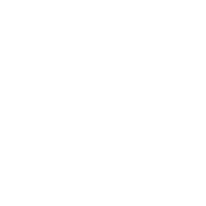logo [white]