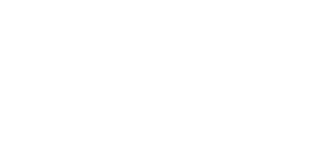 ds logo 2x